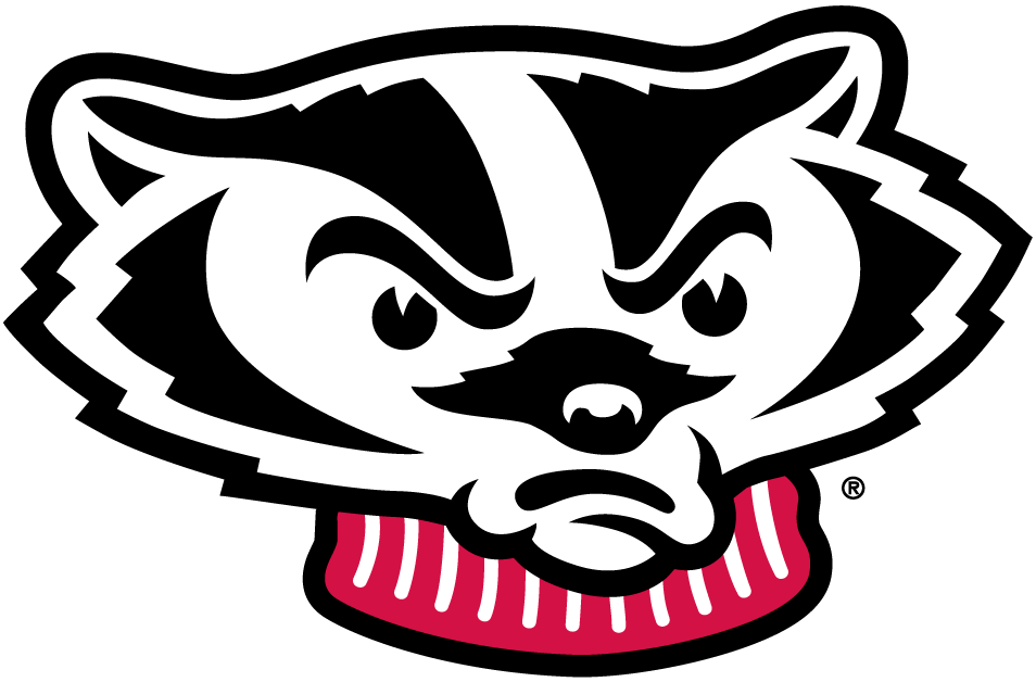 Wisconsin Badgers 2002-Pres Mascot Logo diy DTF decal sticker